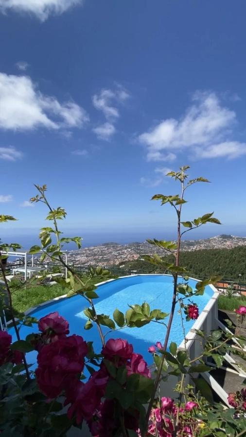Studio Geek Villa - Open Space - 5M From 5 Top Attractions - Pool All Year Round, Dining Pergola, Barbecue - Funchal Matrix Holiday Home Luaran gambar