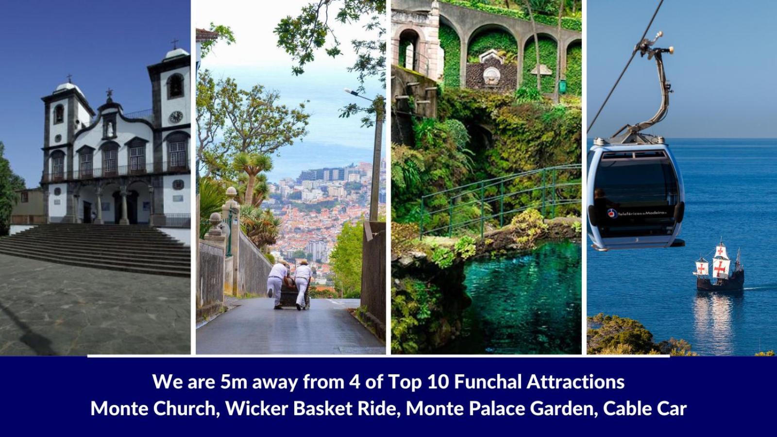 Studio Geek Villa - Open Space - 5M From 5 Top Attractions - Pool All Year Round, Dining Pergola, Barbecue - Funchal Matrix Holiday Home Luaran gambar